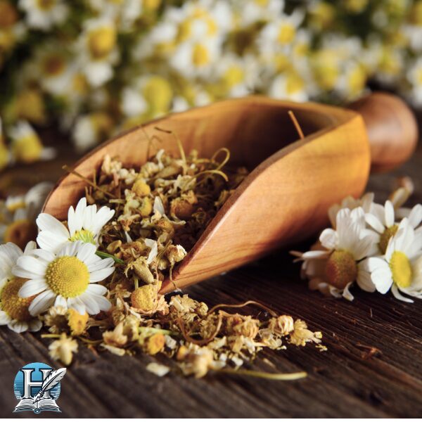 البابونج (Chamomile)