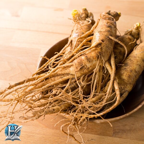 الجنسنغ (Ginseng)