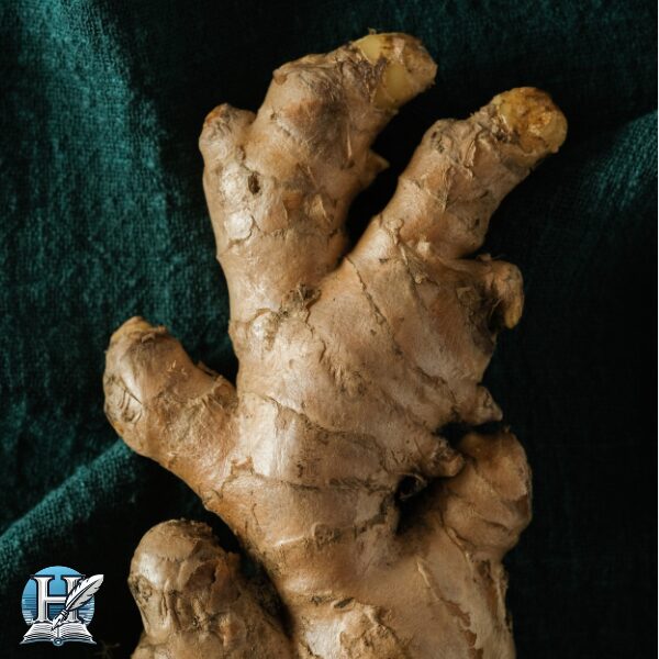 الزنجبيل (Ginger)