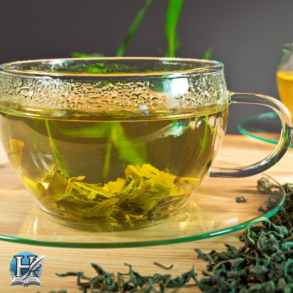 الشاي الأخضر (Green Tea)