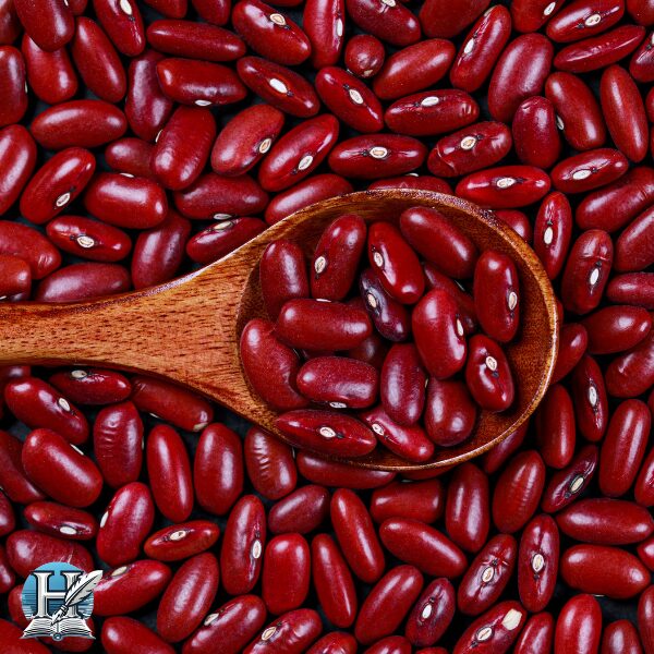الفول المخملي (Mucuna Pruriens)