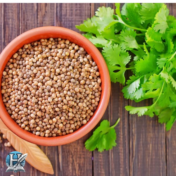 الكزبرة (Coriander)