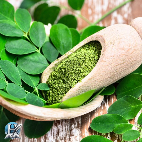 المورينجا (Moringa)