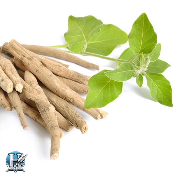 عشبة الأشواغاندا (Ashwagandha)