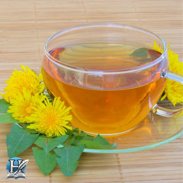 نبات الهندباء (Dandelion Root)