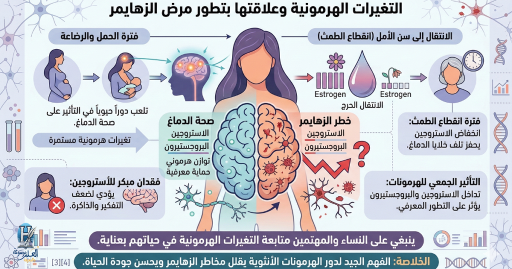 فهمنا لهذه "التقلبات الهرمونية" يجعلنا ندرك أن صحة دماغ المرأة ليست ثابتة، بل تتأثر بكل مرحلة تمر بها