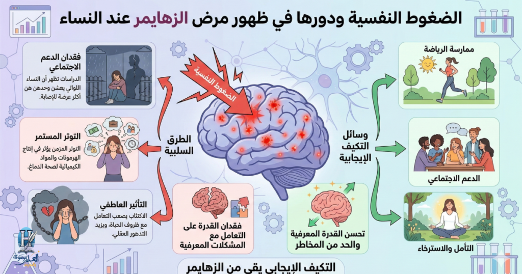 الضغوط النفسية المستمرة تُرهق خلايا الدماغ وتُضعف حمايتها، لكن الدعم الاجتماعي والتكيف الإيجابي يعملان كدرعٍ يحمي ذاكرة النساء من خطر الزهايمر.