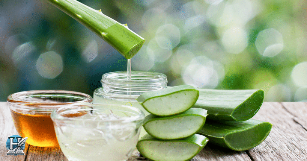 الألوفيرا