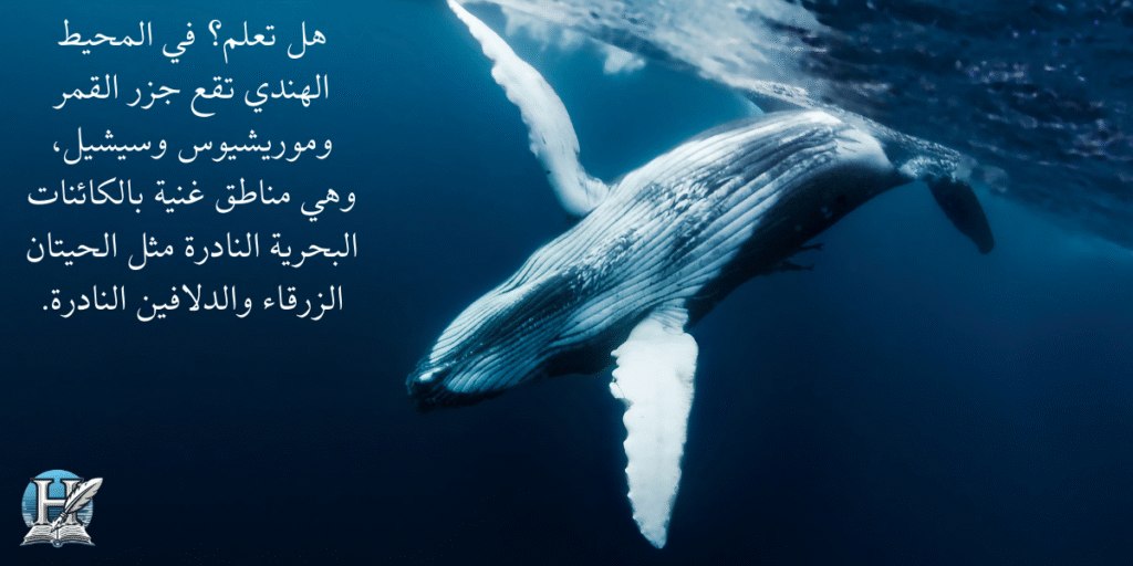 هل تعلم؟ في المحيط الهندي تقع جزر القمر وموريشيوس وسيشيل، وهي مناطق غنية بالكائنات البحرية النادرة مثل الحيتان الزرقاء والدلافين النادرة.