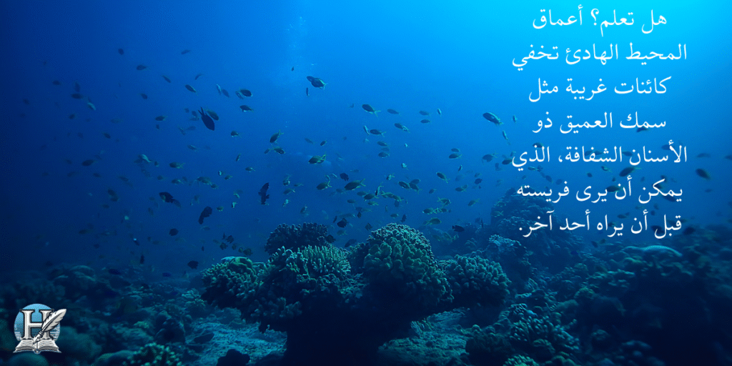 هل تعلم؟ أعماق المحيط الهادئ تخفي كائنات غريبة مثل سمك العميق ذو الأسنان الشفافة، الذي يمكن أن يرى فريسته قبل أن يراه أحد آخر.