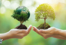 الصورة تُظهر يدين تحملان رمزين للطبيعة، الأولى تحتضن شتلة على شكل الكرة الأرضية، والثانية تحمل شجرة مزدهرة، في إشارة إلى العلاقة بين الإنسان والبيئة وأهمية الحفاظ على التوازن الطبيعي.