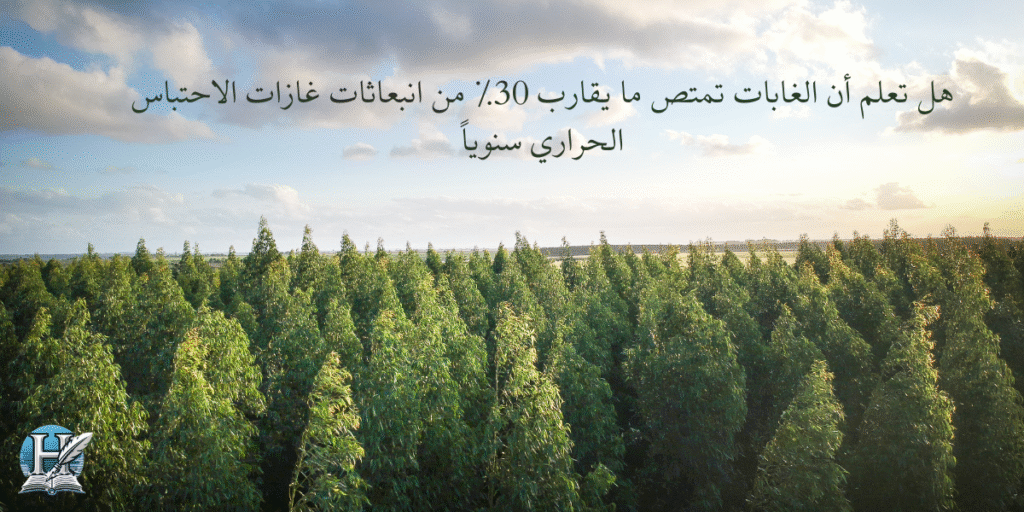 هل تعلم أن الغابات تمتص ما يقارب 30٪ من انبعاثات غازات الاحتباس الحراري سنوياً