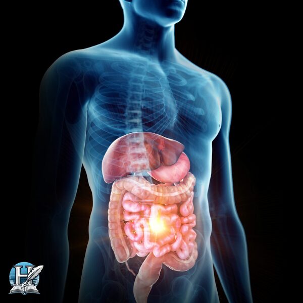 a man with a large intestine