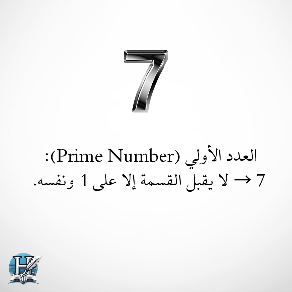 العدد الاولي 7