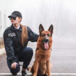 ضابطة شرطة ترتدي زياً أسود وترافق كلب بوليسي من فصيلة الراعي الألماني في موقف سيارات ضبابي.