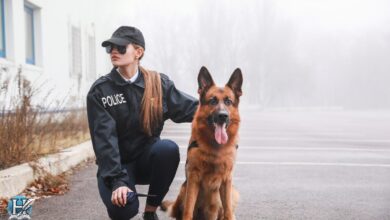ضابطة شرطة ترتدي زياً أسود وترافق كلب بوليسي من فصيلة الراعي الألماني في موقف سيارات ضبابي.