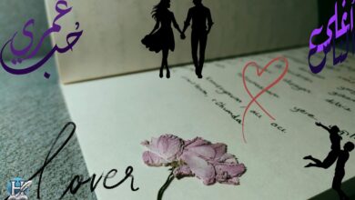 صورة رومانسية تتضمن وردة مجففة على دفتر مفتوح، مع silhouettes لعاشقين وكلمات حب مكتوبة بالعربية والإنجليزية، تعبر عن الشوق والحنين.
