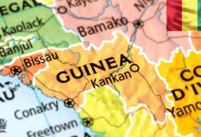 خريطة تظهر موقع دولة غينيا في غرب إفريقيا إلى جانب الدول المجاورة مثل السنغال ومالي وكوت ديفوار.