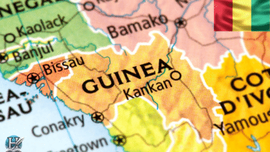 خريطة تظهر موقع دولة غينيا في غرب إفريقيا إلى جانب الدول المجاورة مثل السنغال ومالي وكوت ديفوار.