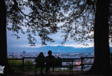 شخصان يجلسان على مقعد خشبي تحت الأشجار عند الغروب يتأملان المدينة في أجواء مسائية هادئة.