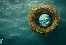 صورة رمزية تُظهر كوكب الأرض في عش من الأغصان وسط مياه زرقاء، ترمز إلى احتضان المحيطات للحياة على الكوكب.