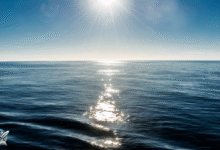 صورة لمياه المحيط الهادئ تحت أشعة الشمس، تُظهر امتداد البحر اللامتناهي ولمعان الضوء على سطحه الأزرق الهادئ.