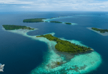 صورة جوية لجزر خضراء وسط مياه فيروزية في المحيط الهندي، تُظهر جمال الشعاب المرجانية وتنوّع الطبيعة البحرية.