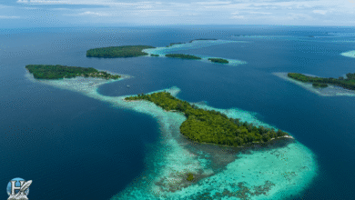 صورة جوية لجزر خضراء وسط مياه فيروزية في المحيط الهندي، تُظهر جمال الشعاب المرجانية وتنوّع الطبيعة البحرية.