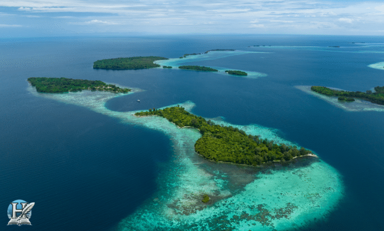 صورة جوية لجزر خضراء وسط مياه فيروزية في المحيط الهندي، تُظهر جمال الشعاب المرجانية وتنوّع الطبيعة البحرية.
