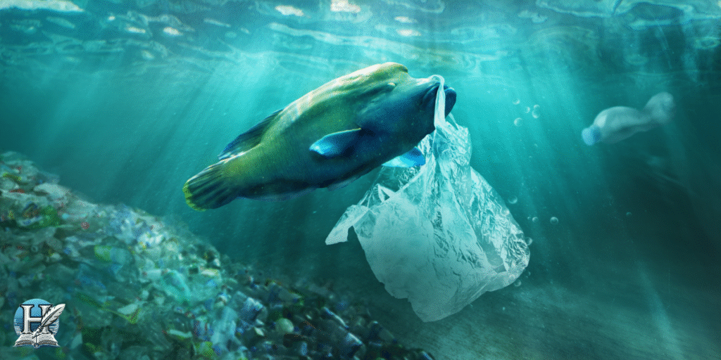 التلوث البلاستيكي في المحيط الهندي