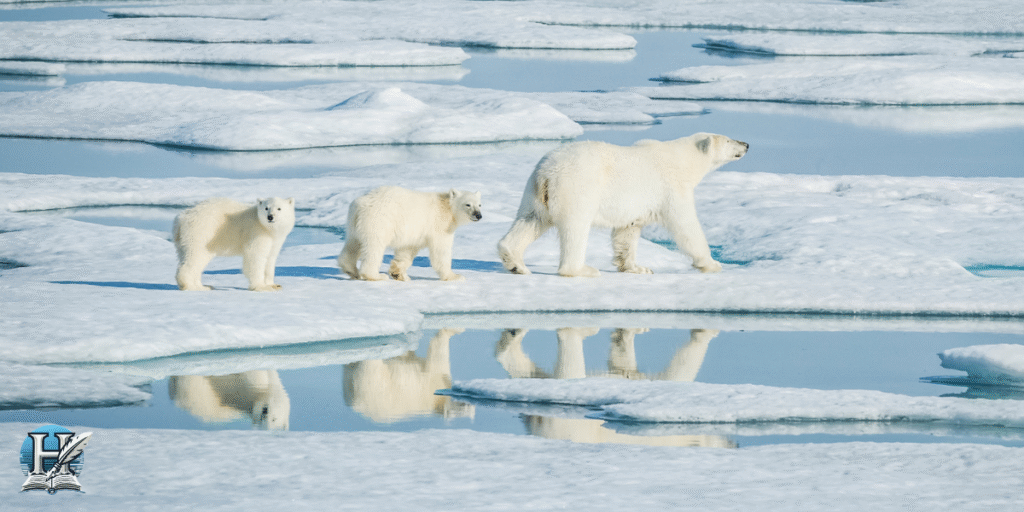 الحياة في المحيط المتجمد الشمالي