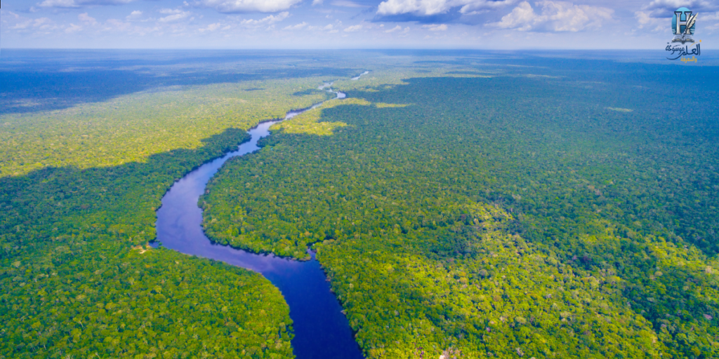 غابات الأمازون